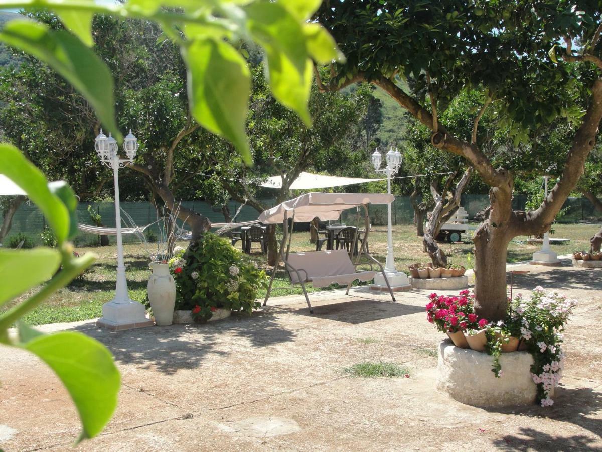 Primaluce Pizzo (Calabria)